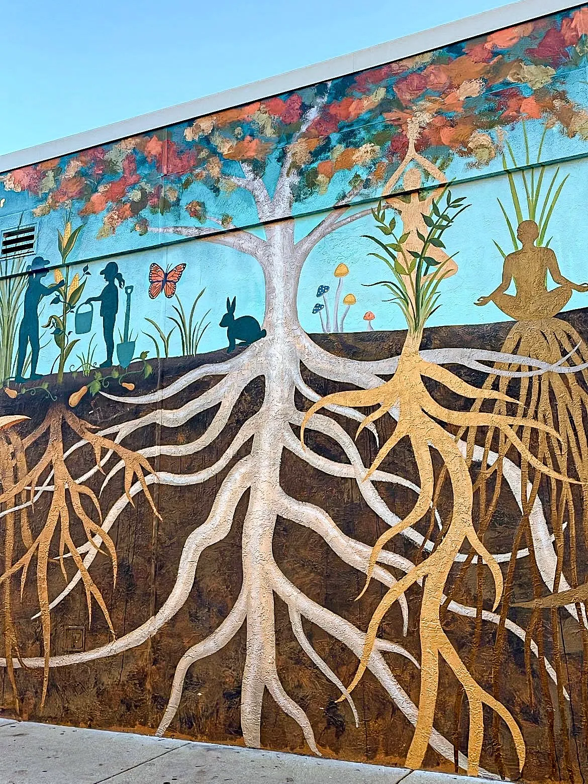 Roots mural in context on the Willy Street wall.
