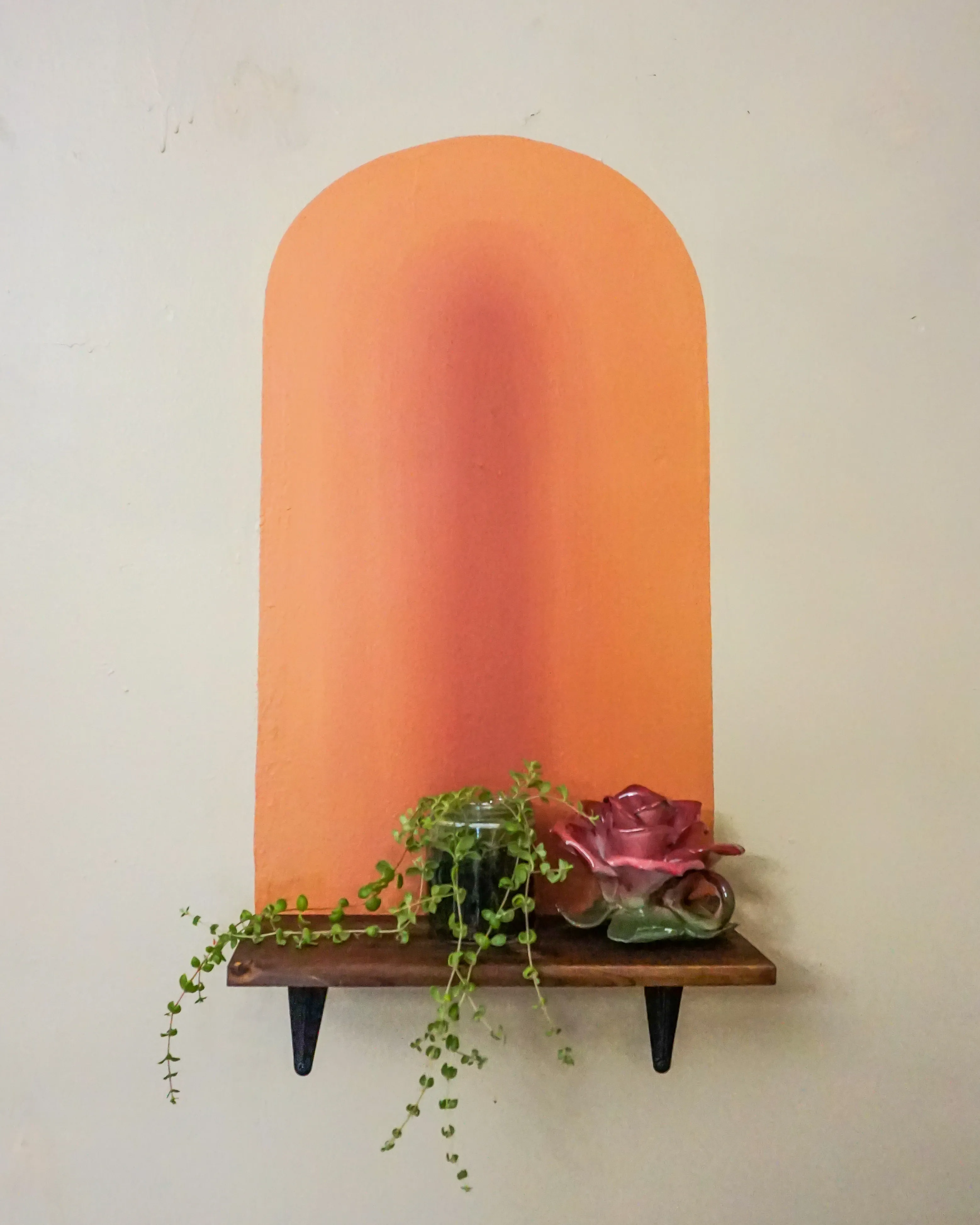 with plants